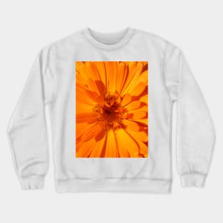 Calendula Crewneck Sweatshirt